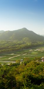 Montagne,Retour Au Début,Sommet,Nature,Arbres,Plantation