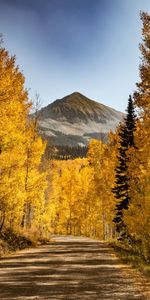 Trees,Mountains,Autumn,Path,Nature,Forest