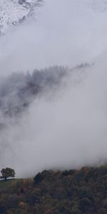 Trees,Mountains,Clouds,Fog,Nature,Landscape