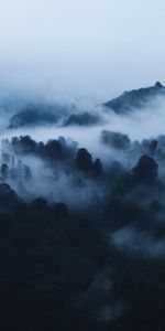 Naturaleza,Árboles,Montañas,Nubes,Niebla,Paisaje