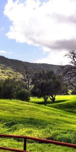 Trees,Mountains,Clouds,Meadows,Fence,Valley,Nature,Grey,Plain