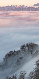 Trees,Mountains,Clouds,Nature,Landscape