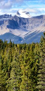 Trees,Mountains,Clouds,Rocks,Spruce,Fir,Nature