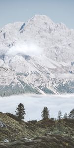 Trees,Mountains,Fog,Hills,Foot,Nature