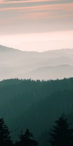 Trees,Mountains,Fog,Nature,Sky,Dawn