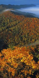 Trees,Mountains,Fog,Shroud,Nature,Autumn