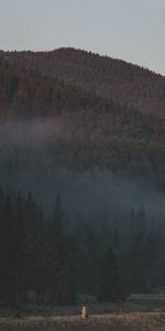 Trees,Mountains,Fog,Slope,Forest,Nature