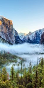 Parc National De Yosemite,Nature,Brouillard,Etats Unis,Arbres,Montagnes,États Unis,Californie