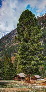 Naturaleza,Árboles,Montañas,Bosque,Edificios