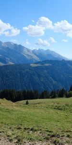 Collines,Les Collines,Nature,Forêt,Montagnes,Arbres,Paysage