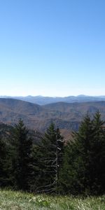 Trees,Mountains,Forest,Nature,Sky