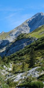 Trees,Mountains,Greens,Nature,Landscape