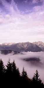 Trees,Mountains,Height,Nature,Clouds,Landscape