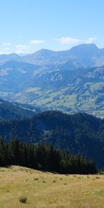 Trees,Mountains,Hills,Nature,Landscape