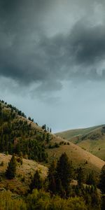 Trees,Mountains,Hills,Slopes,Landscape,Nature