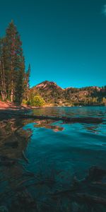 Trees,Mountains,Lake,Fir,Spruce,Landscape,Nature