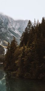 Brouillard,Épicéa,Montagnes,Forêt,Sapin,Nature,Arbres,Lac