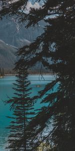 Trees,Mountains,Lake,Nature,Boat