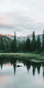 Épicéa,Sapin,Arbres,Montagnes,Lac,Nature