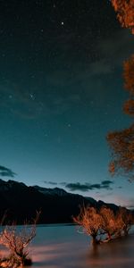 Trees,Mountains,Lake,Starry Sky,Dusk,Nature,Twilight