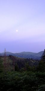 Trees,Mountains,Landscape