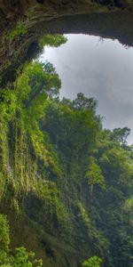 Montagnes,Paysage,Arbres