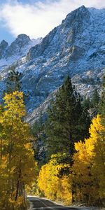 Montagnes,Arbres,Paysage,Automne