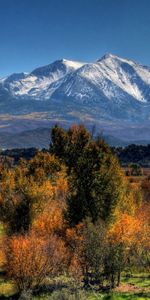 Nature,Montagnes,Arbres,Automne