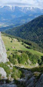 Trees,Mountains,Nature,Greens,Landscape