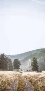 Trees,Mountains,Road,Fog,Nature,Landscape