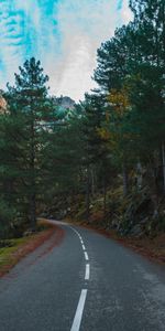 Tourner,Pente,Nature,Tour,Arbres,Montagnes,Route