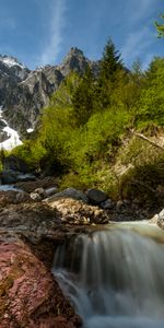 Trees,Mountains,Rocks,Branches,Snowbound,Snow Covered,Nature