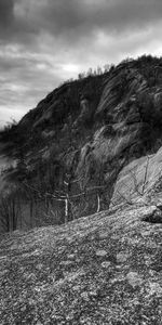 Trees,Mountains,Rocks,Fog,Nature,Black And White