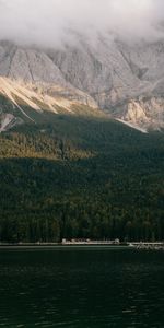 Trees,Mountains,Rocks,Fog,Nature,Forest