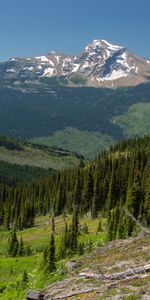 Trees,Mountains,Rocks,Forest,Snow Covered,Snowbound,Nature