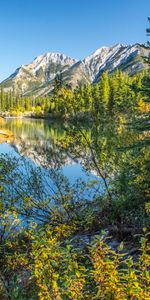 Trees,Mountains,Rocks,Lake,Branches,Nature