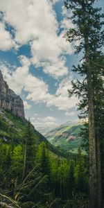 Trees,Mountains,Rocks,Nature,Forest,Landscape