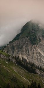 Nature,Arbres,Roches,Brouillard,Pente,Les Rochers,Montagnes