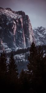 Arbres,Couvert De Neige,Roches,Snowbound,Nature,Montagnes,Les Rochers,Paysage