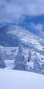 Naturaleza,Árboles,Nieve,Derivas,Deriva,Mortaja,Sudario,Cubrir,Montañas