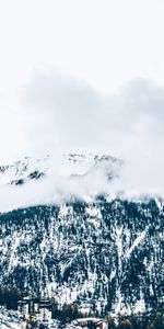 Trees,Mountains,Snow,Fog,Nature