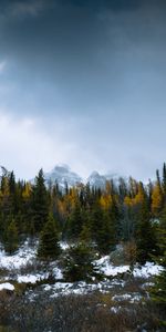 Trees,Mountains,Snow,Forest,Snowbound,Snow Covered,Nature