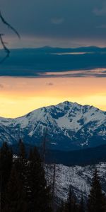 Trees,Mountains,Snow,Nature,Forest