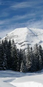 Trees,Mountains,Snow,Relief,Shadows,Ate,Slopes,Nature