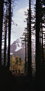 Nature,Hauts,Couvert De Neige,Snowbound,Arbres,Neige,Sommet,Montagnes