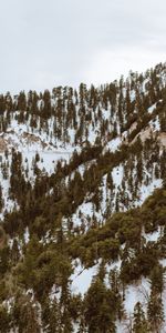 Trees,Mountains,Snow,Vertex,Nature,Tops