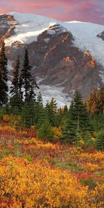 Trees,Mountains,Snow,Vertex,Top,Colors,Color,Ate,Nature,Autumn