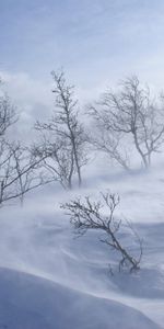 Trees,Mountains,Snow,Wind,Snowstorm,Nature