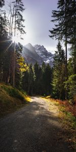 Trees,Mountains,Sun,Beams,Rays,Path,Nature