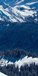 Retour Au Début,Nature,Sommet,Arbres,Montagnes